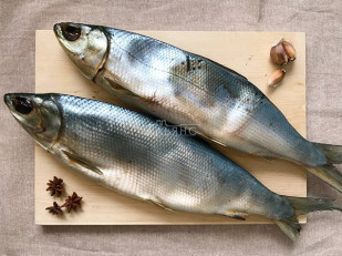 Главная: Сиг вяленый